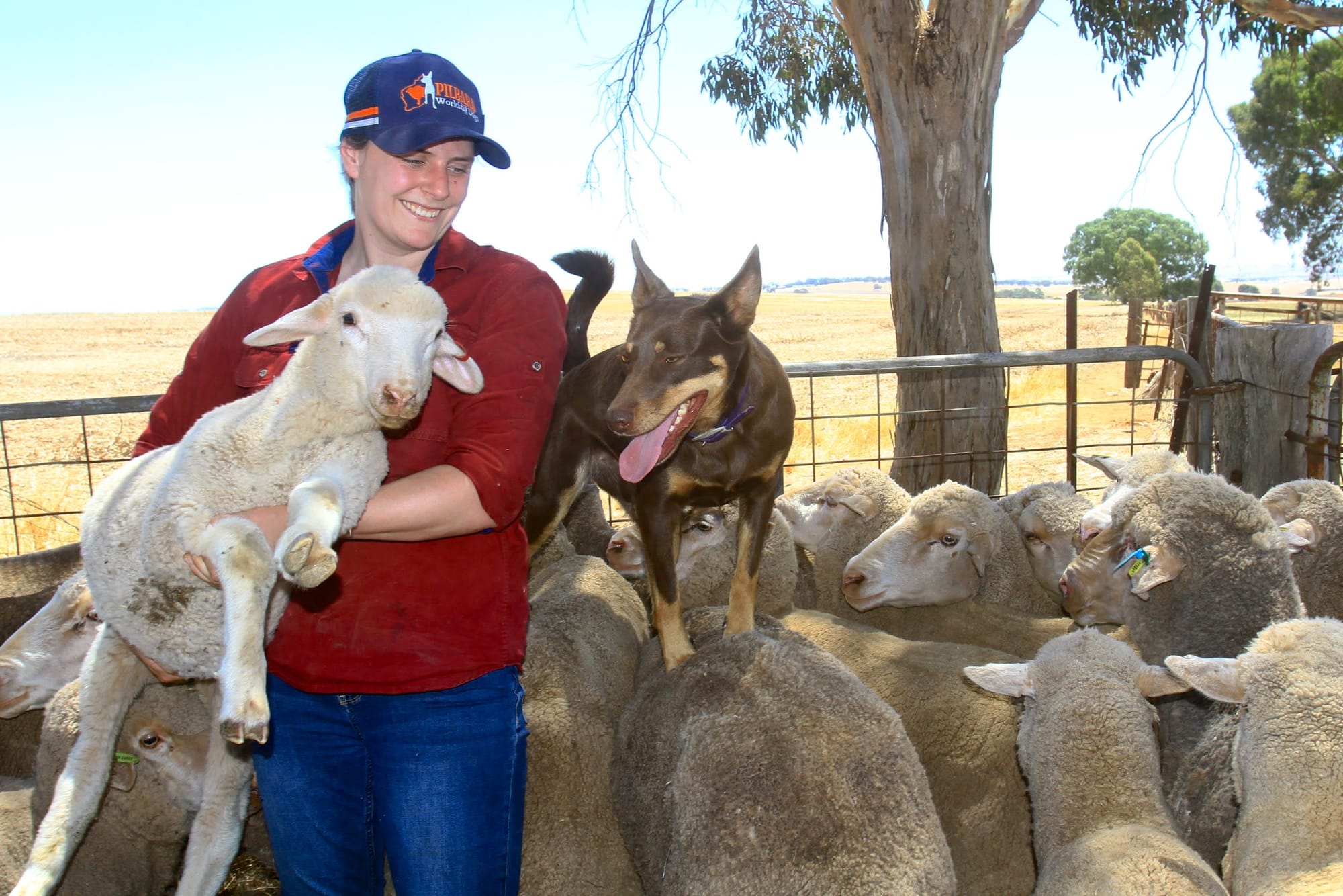 Cody thrilled and fulfilled after swapping aged care for agriculture