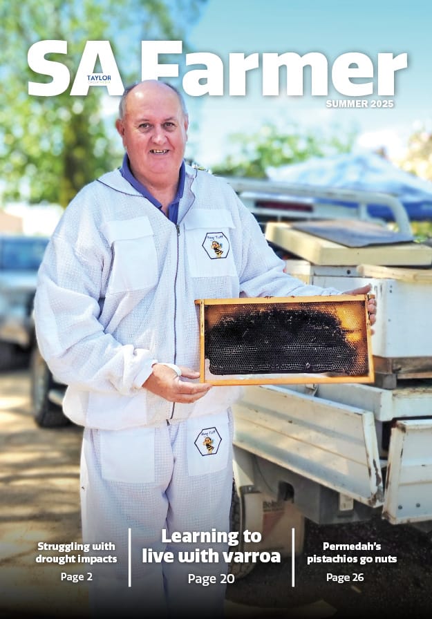 SA Farmer, Summer 2025  post
                                image