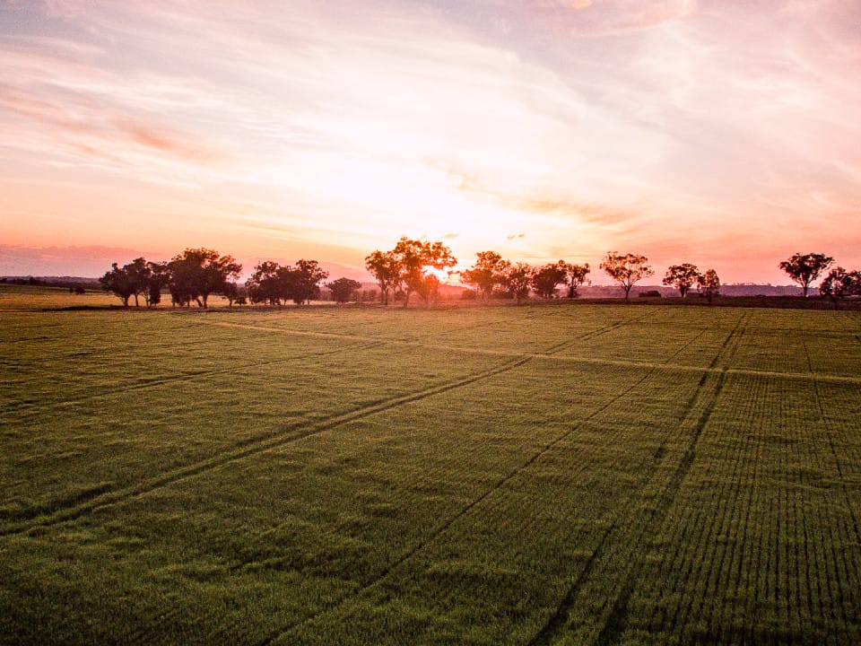 Winter rains improve crop outlook