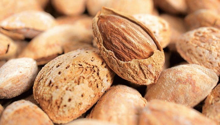 Sustainable beetle lure set to protect Riverland almond orchards