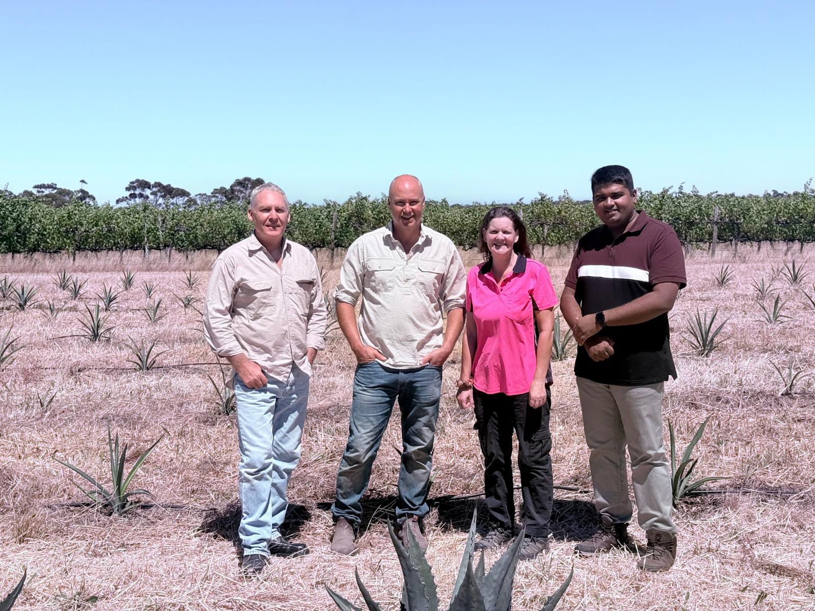 Riverland growers explore agave industry prospects at specialist workshop