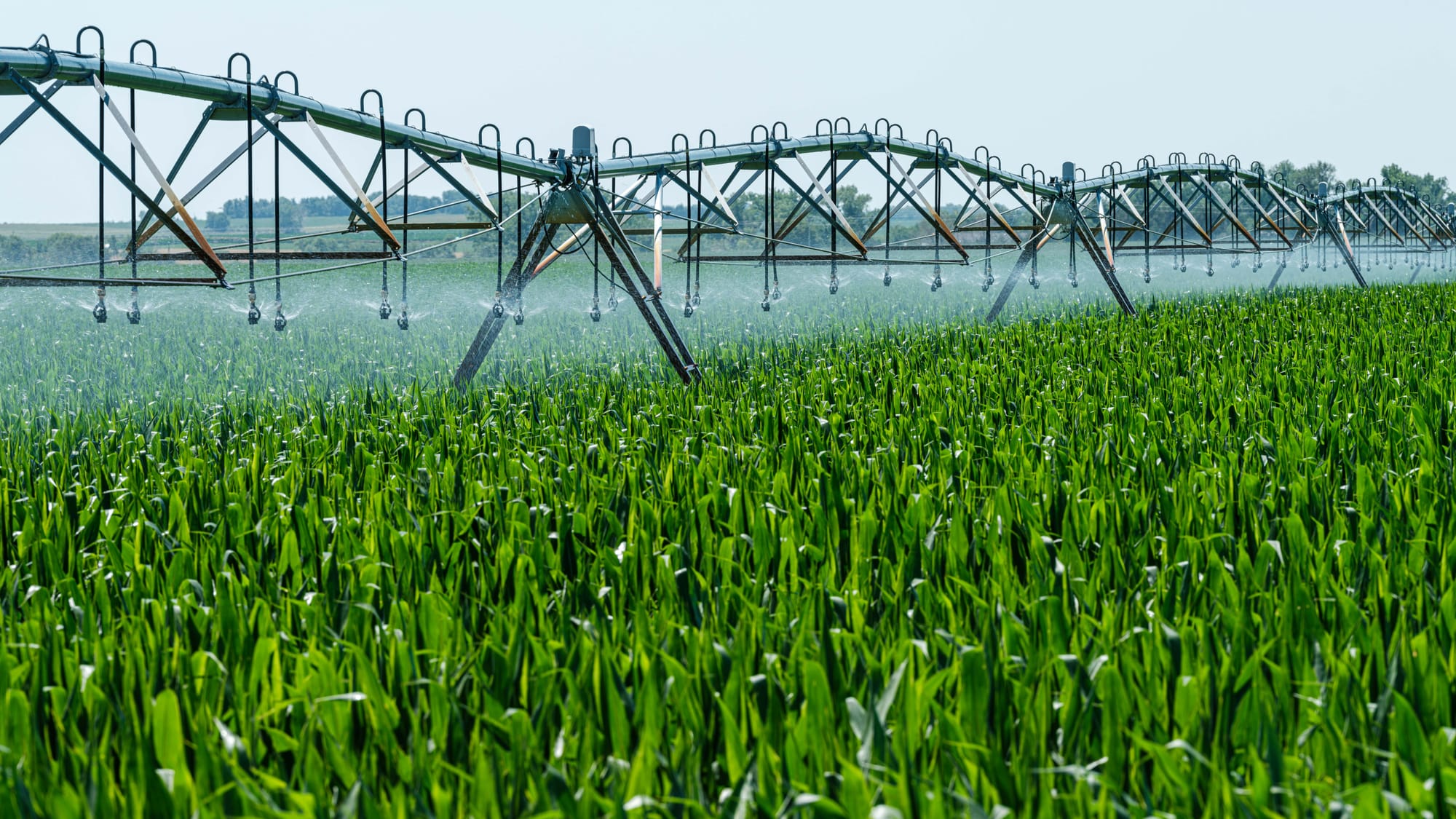 Murrumbidgee temporary water prices climb, dam storage levels decline