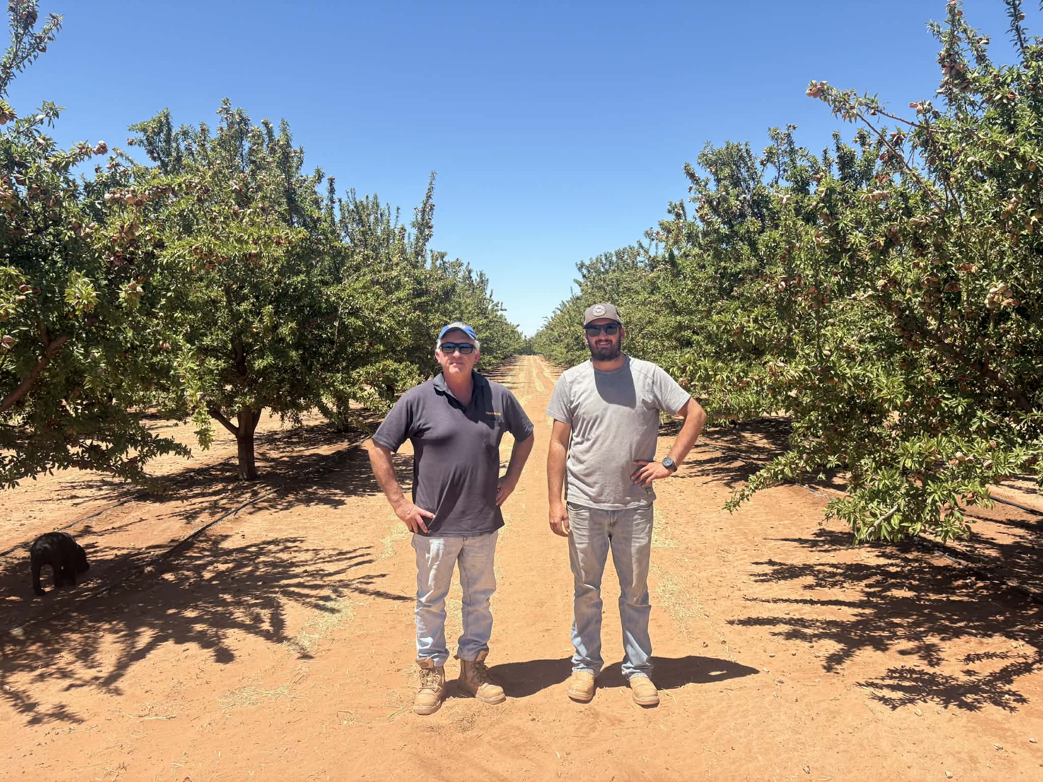 Adding almonds to a proud Riverland operation