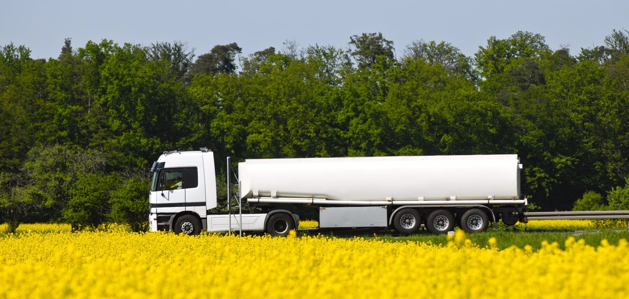 Canola poised for expanded role in biofuel future