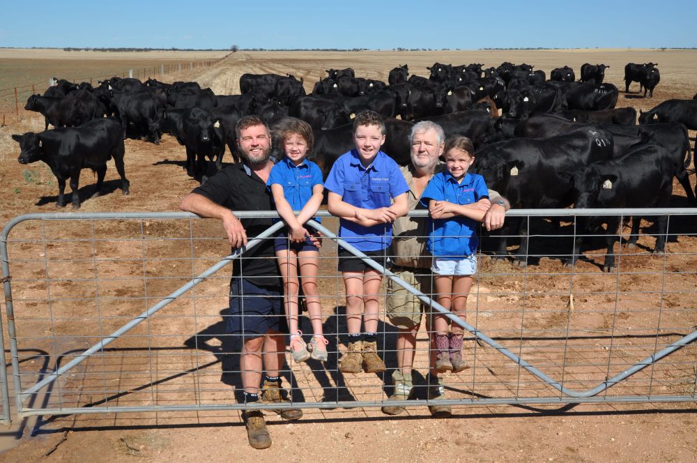 Weathering the storms at Roseleigh Angus post image