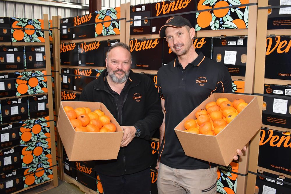 Meet your new favourite mandarin variety post image