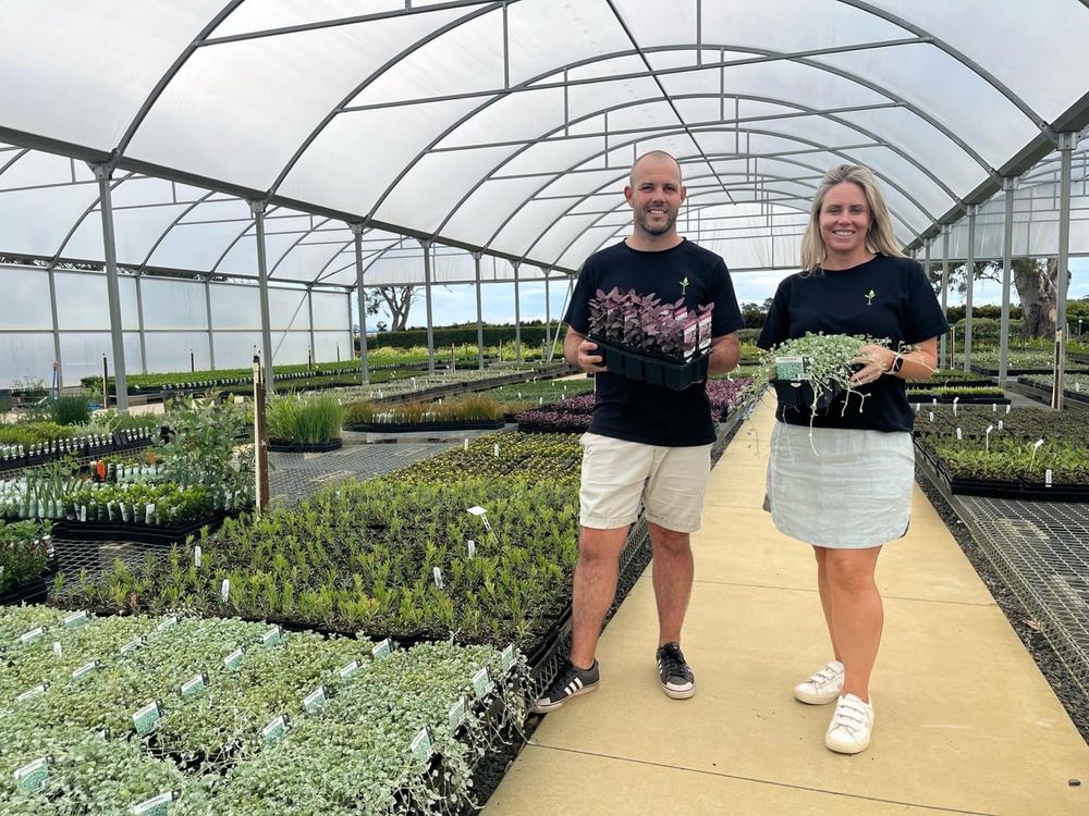 Program to unlock grower solutions for biggest horticulture challenges post image