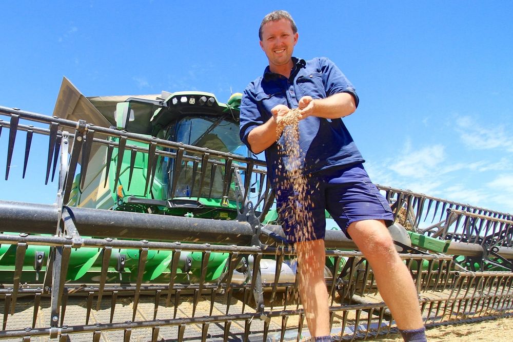 A bit of rain can’t stop a bumper harvest post image