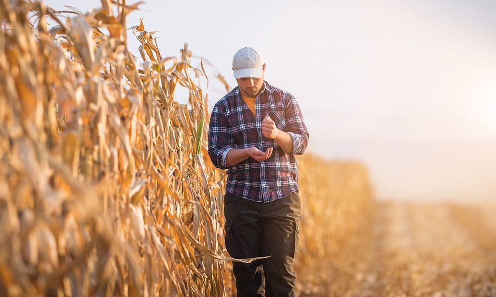 Mental health roundtable discusses drought gaps post image