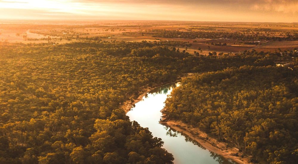 Record environmental flows for SA show Murray-Darling Basin Plan back on track post image