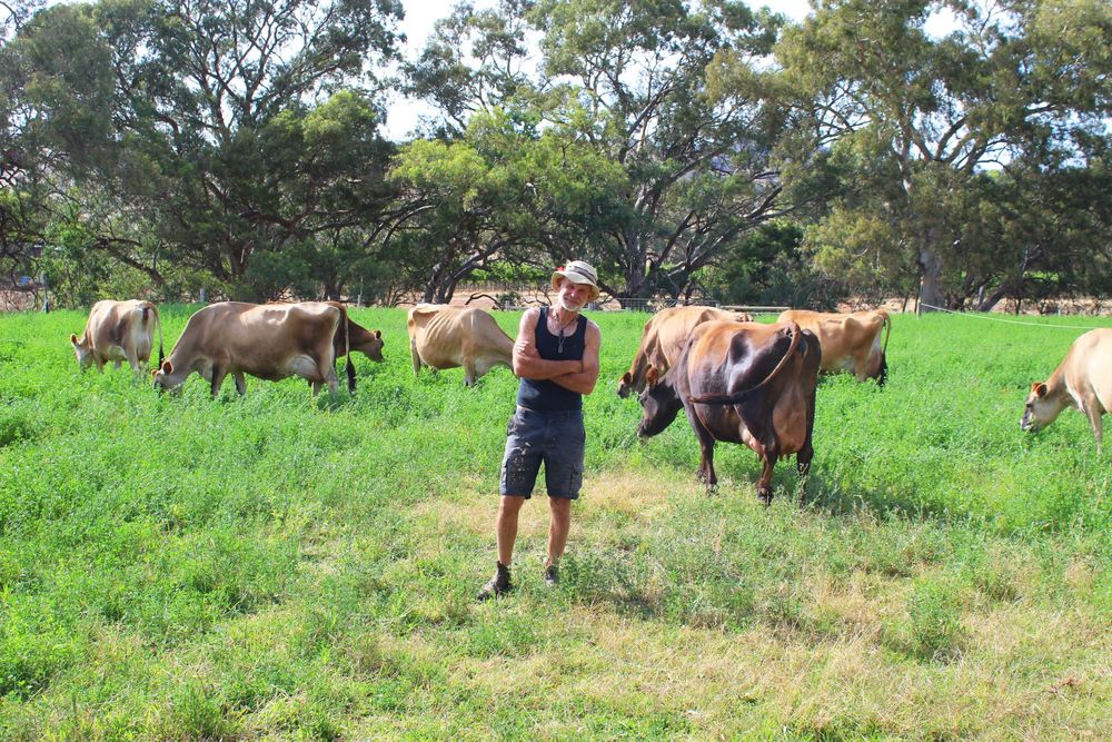 Old-school mixed farming the key to Michael's success post image