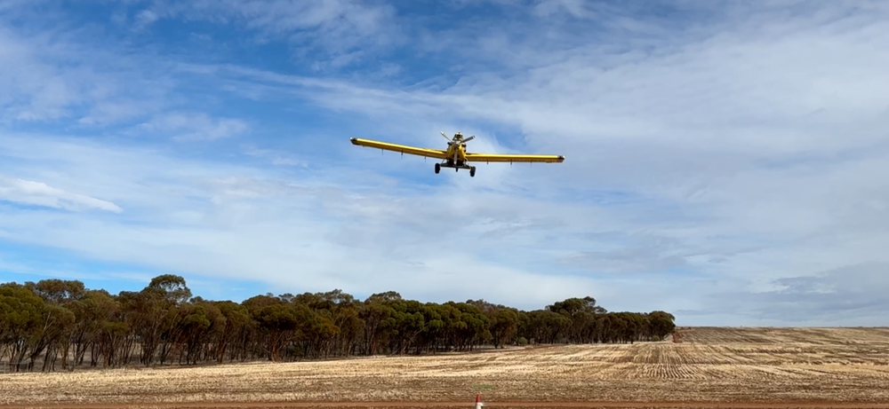 Snail and slug baiting methods put to the test post image