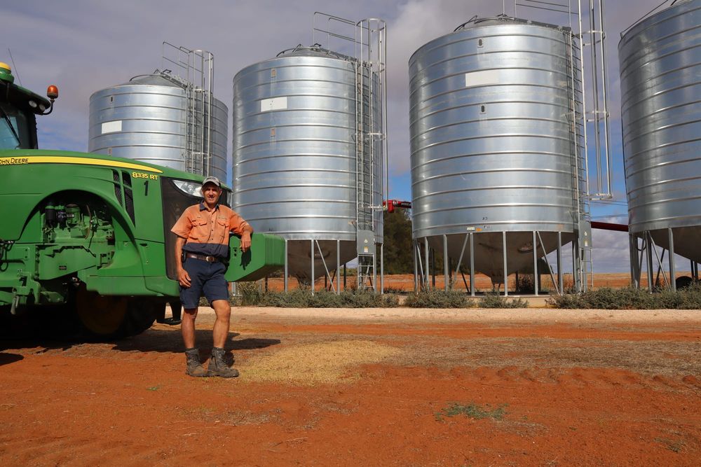 Grain growing starts again after record-breaking year post image
