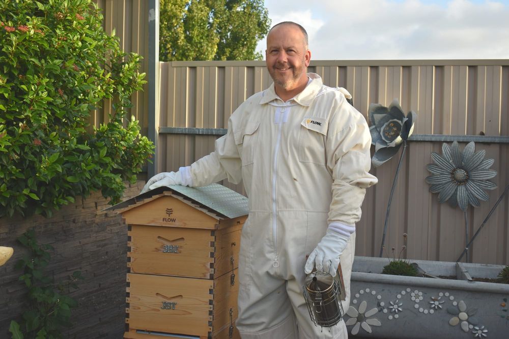 Honey honey, how you thrill me post image