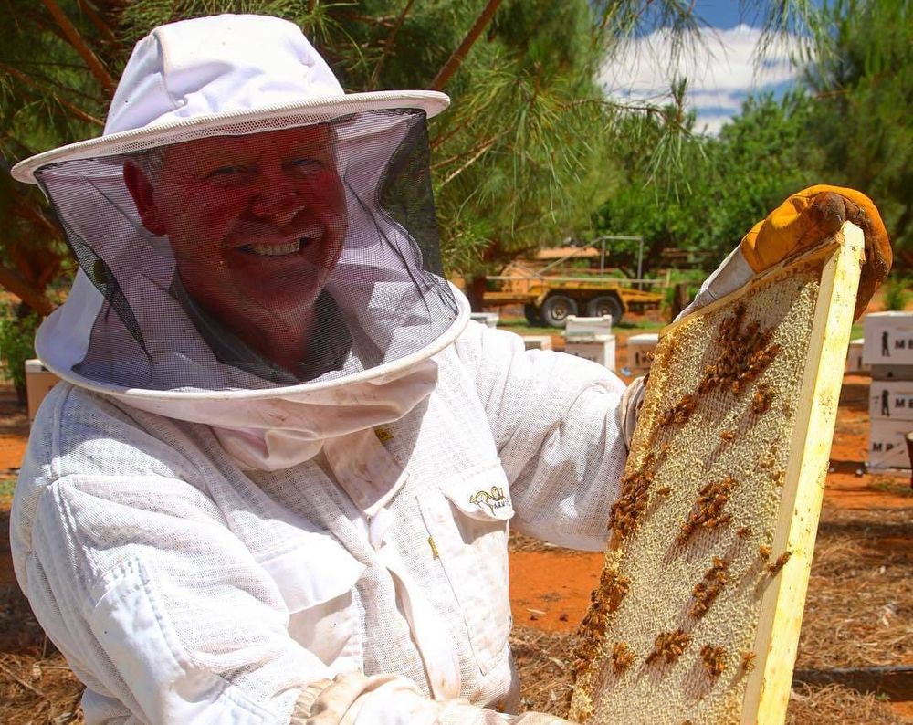 Beekeeper’s varroa forecast... buzzkill post image