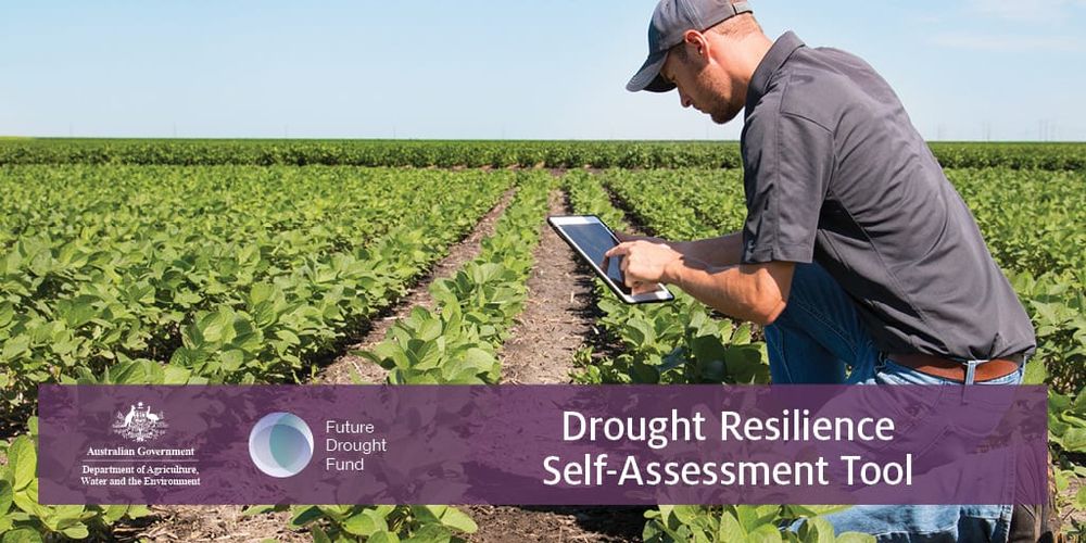 New climate tools to help Mallee farmers post image