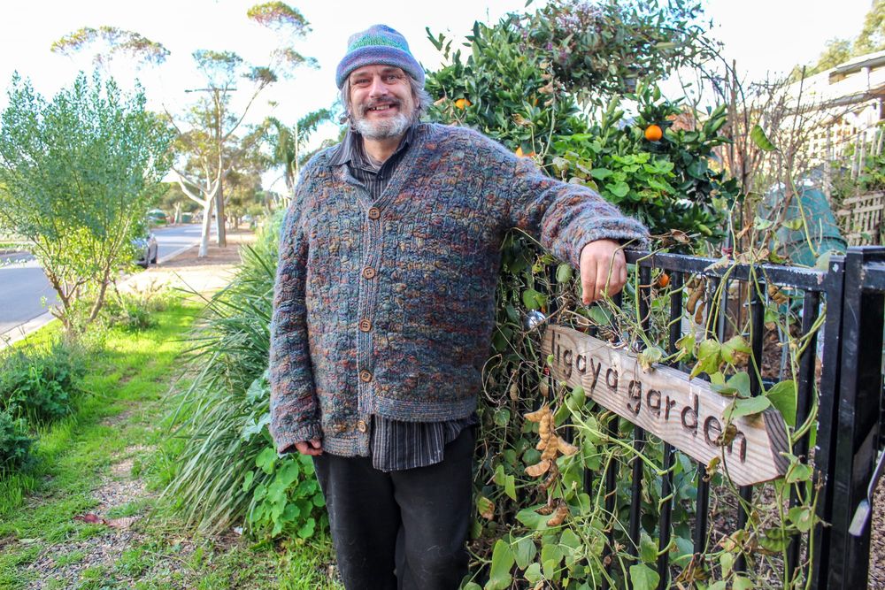 Transforming a blank canvas into a green oasis post image