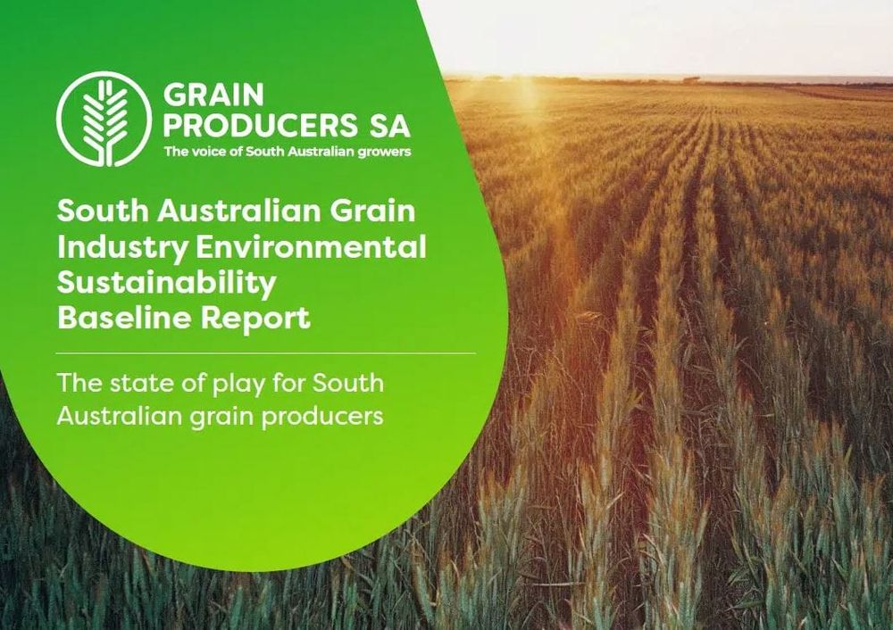 Inaugural grain sustainability baseline report released post image