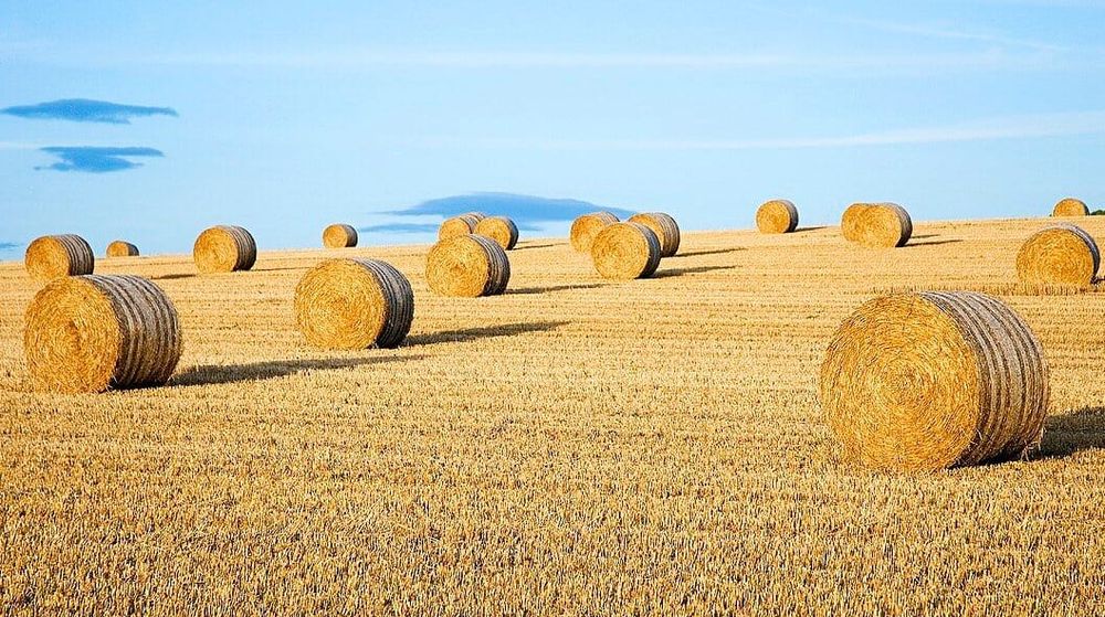 Need for Feed travels to South Australia post image