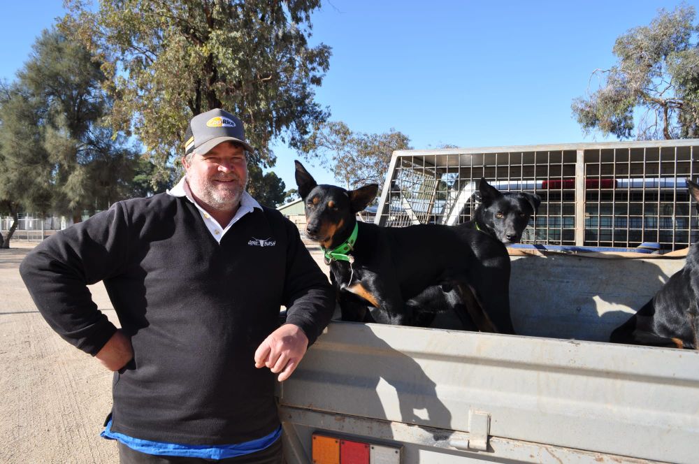 Lee’s best mates post image