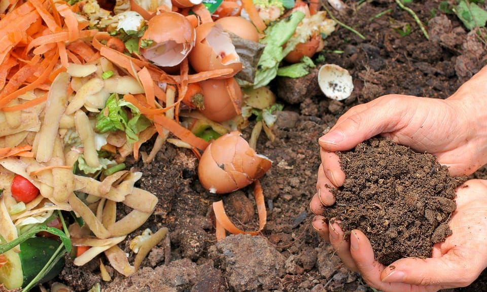 Farmers use compost to improve soil health post image
