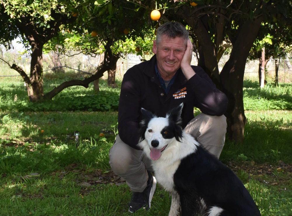 Take a gander at Fat Goose Fruits post image