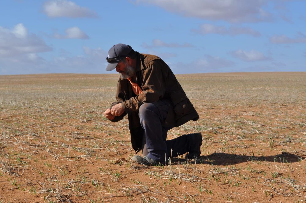 Paschke’s frontline farming battle post image