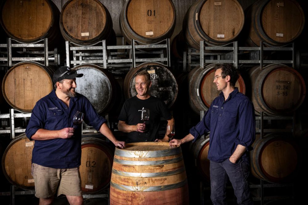 Three families united for Tribus dream post image