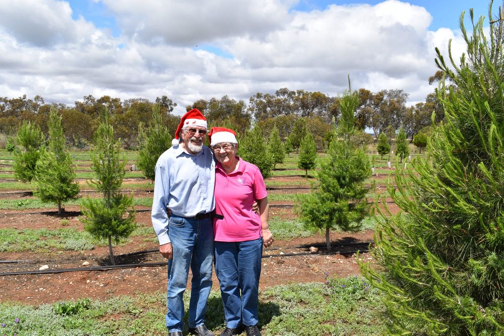 It’s beginning to look a lot like Christmas post image