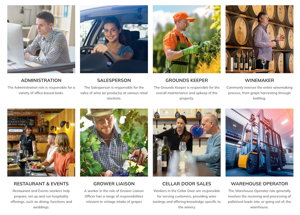 New resource for wine workplace injuries post image