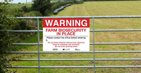 Government biosecurity support welcome, but ‘more action needed to support growers’ post image