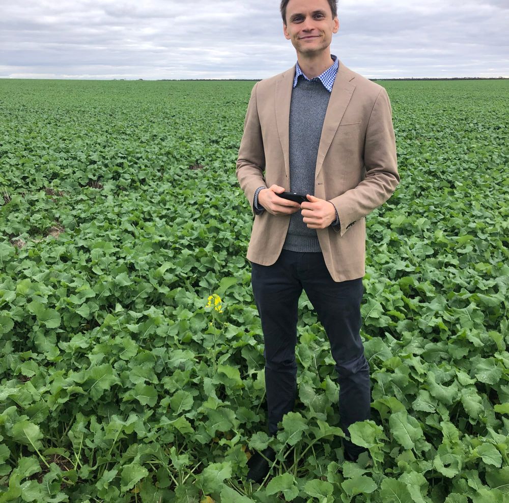 Grain harvest expected to break records post image