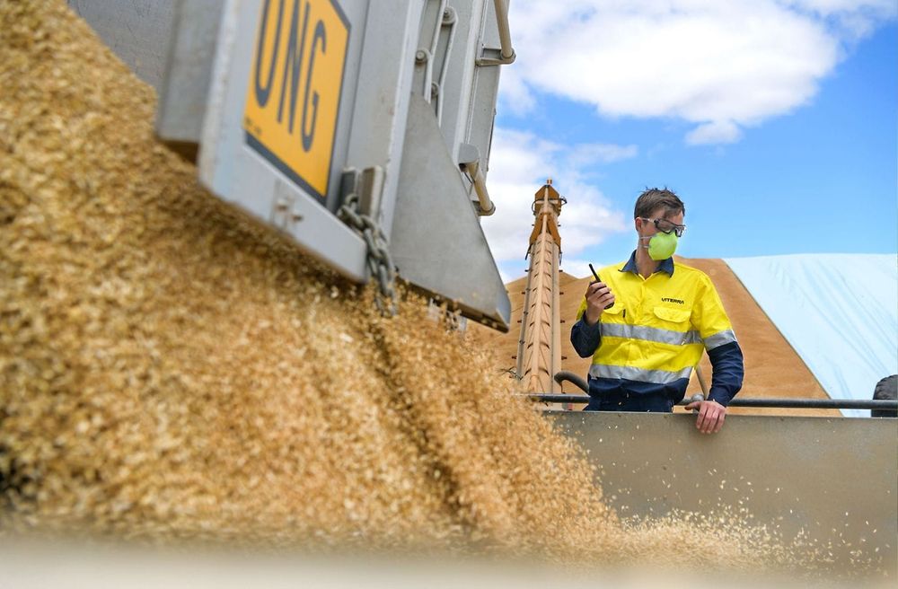 Harvesting jobs on offer throughout SA post image