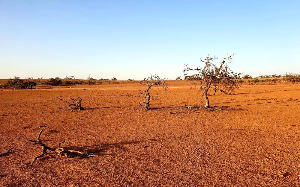 Practical podcasts for drought preparedness post image