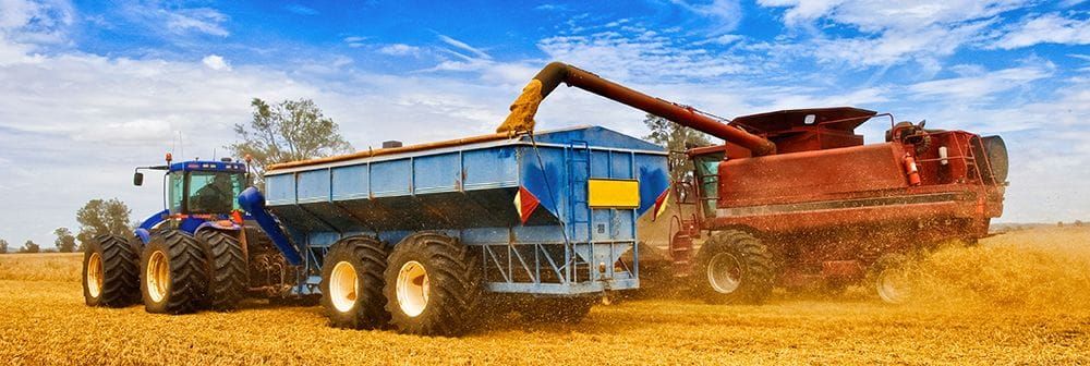 Snapshot shows strength behind numbers post image