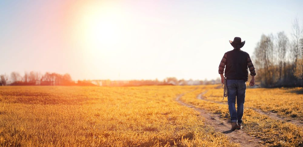 SA drought devastating farming communities post image