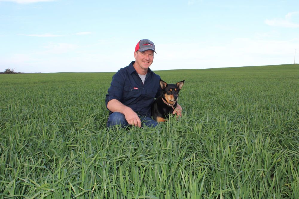 Farmers counting on more rainfall post image