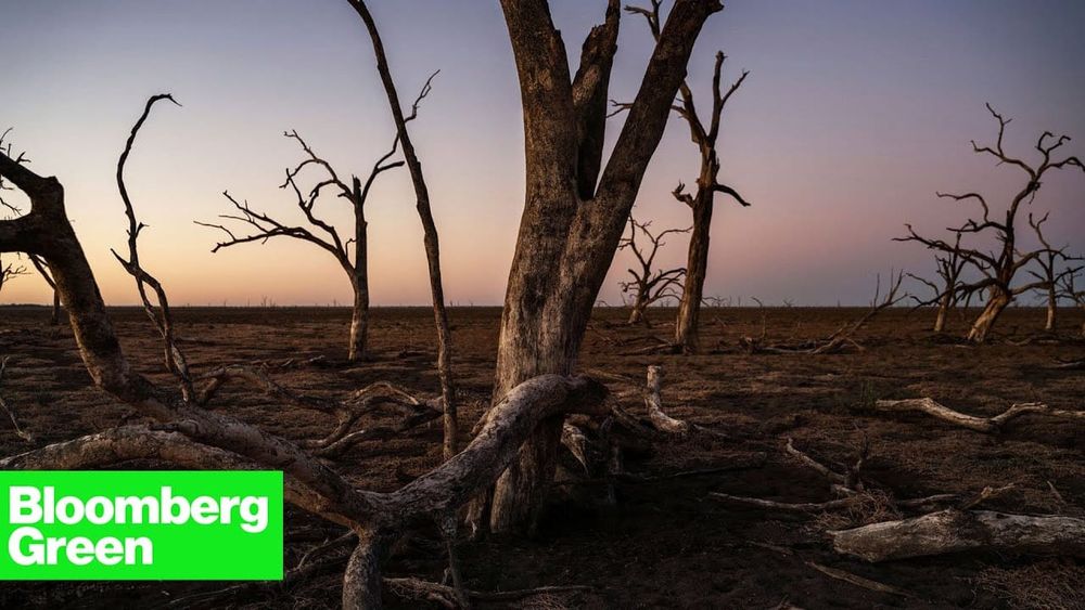VIDEO: Experts raise concerns about declining Murray-Darling health post image