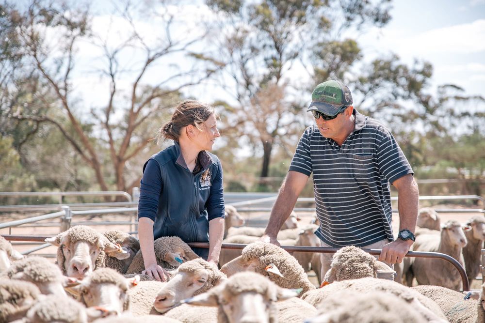 Support in a drought crisis post image