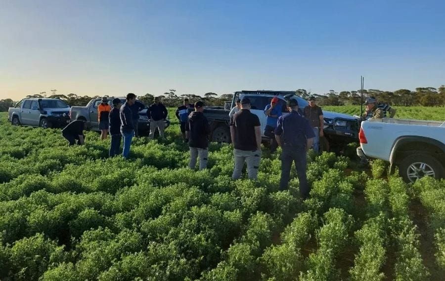 Farming systems in focus: early sowing, legumes, and long-term fertility post image
