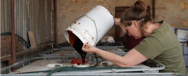 How to make the most of biofertilisers post image