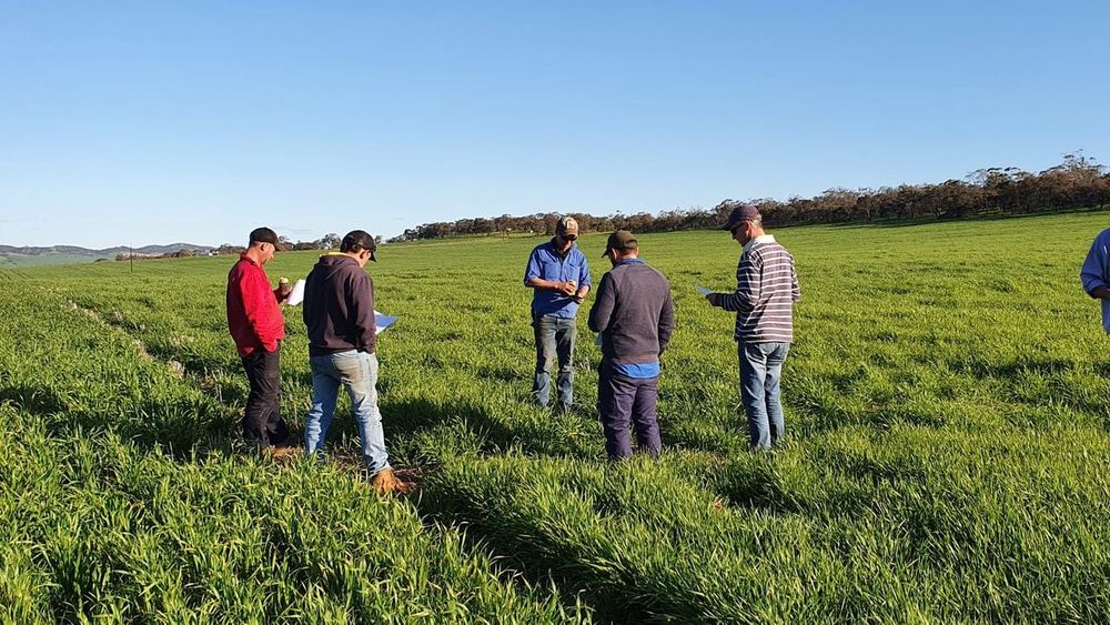 Tom’s the Barossa’s malt man post image