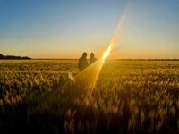 GrainGrowers launches workforce resources hub post image