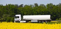 Canola poised for expanded role in biofuel future post image