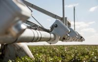 Decision time for the future of farming post image