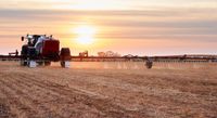 Critical weed control tool restricted despite lack of viable alternatives for SA grain producers post image