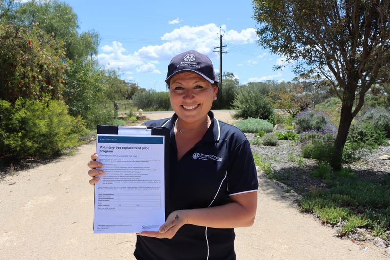 Extension for Waikerie’s tree replacement program post image