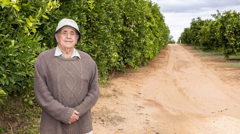 Riverland West citrus leader’s lifetime of dedication post image