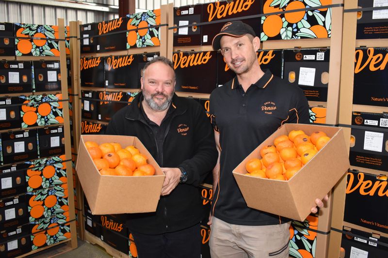 Meet your new favourite mandarin variety post image