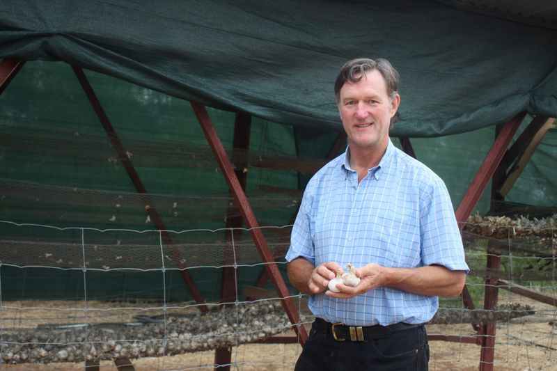 Barossa’s garlic guru post image